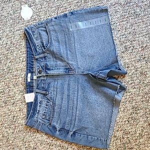 DIP BRAND WOMEN'S PLUS SIZE BLUE JEAN CUTOFF DISTRESSED SHORTS SIZE 16W